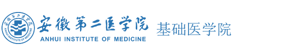 基础部
